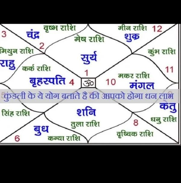 Astrologer and vastu expert