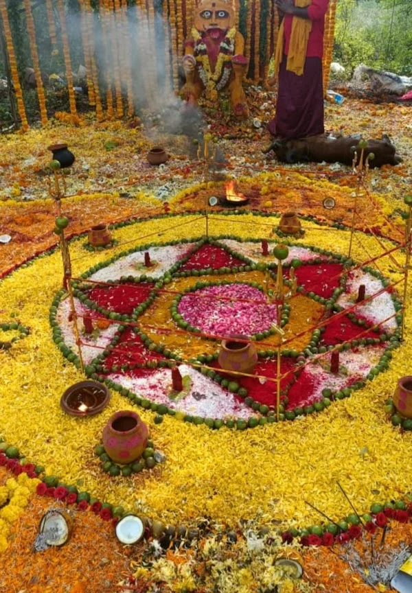 Kerala sree Bhagavati Astrologer