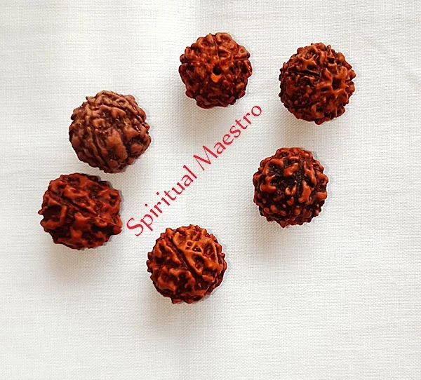 Spiritual Maestro