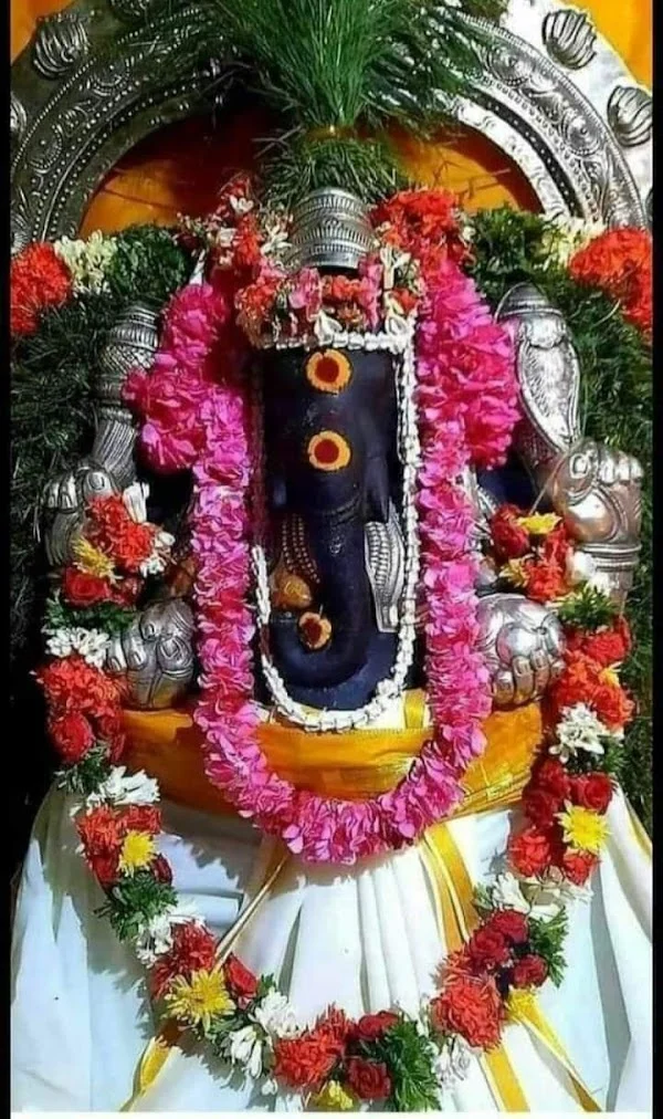 SRI AMMAN JODHIDA NILAYAM (best astrologer in tirupur/top/No 1 Astrologer/best/jothidam/amman jothida nilayam)